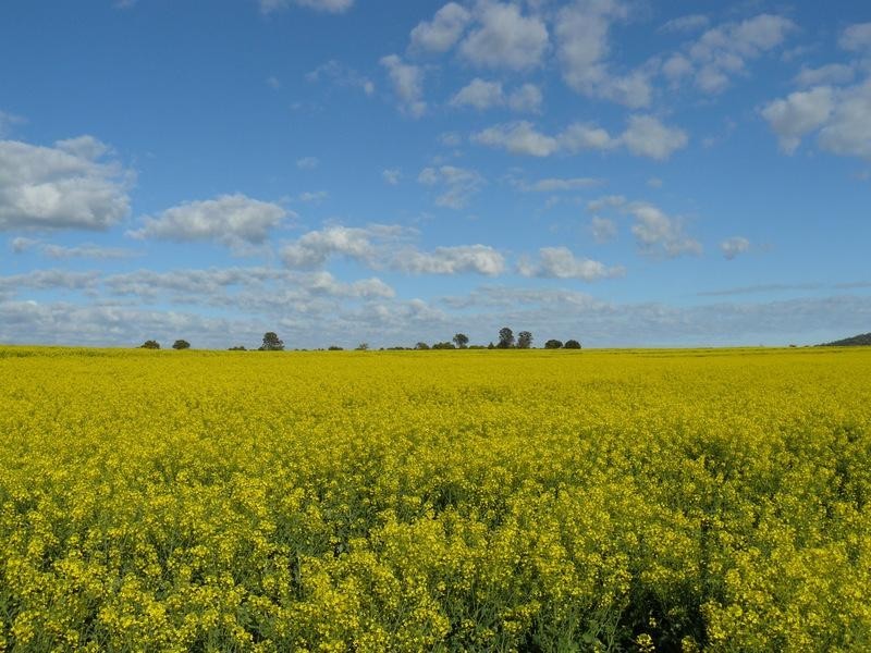 205 Spooners Gap-Bellata Road, Bellata NSW 2397