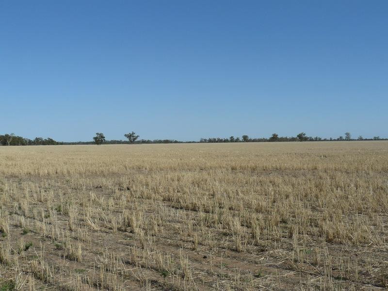 Coonamble NSW 2829