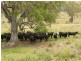 Bingara NSW 2404