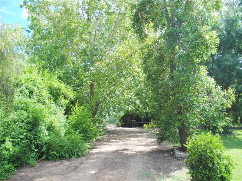 Moree NSW 2400