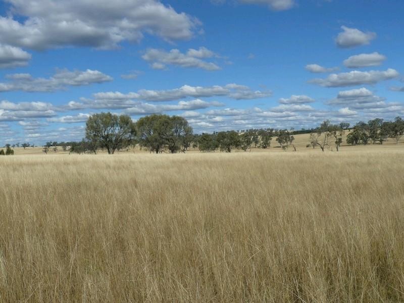 2429 Oregon Road, Warialda NSW 2402