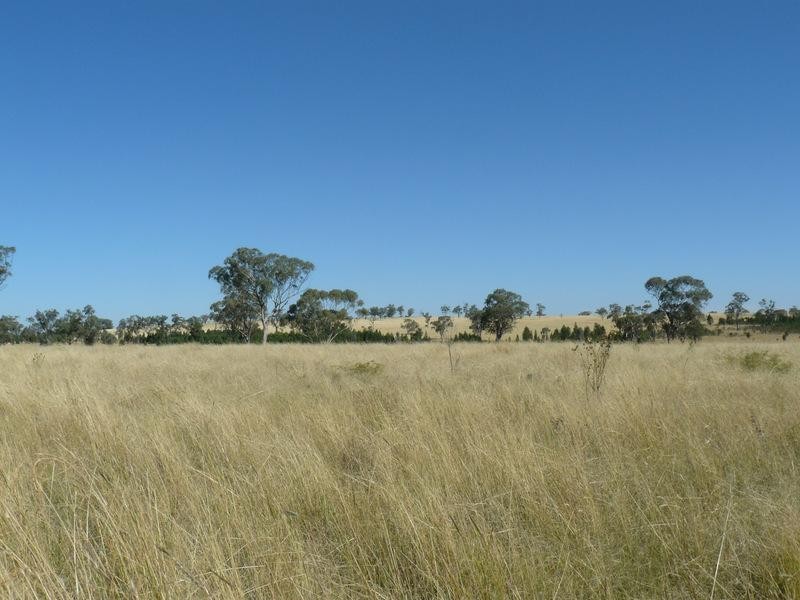 2429 Oregon Road, Warialda NSW 2402