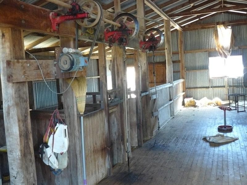 2429 Oregon Road, Warialda NSW 2402