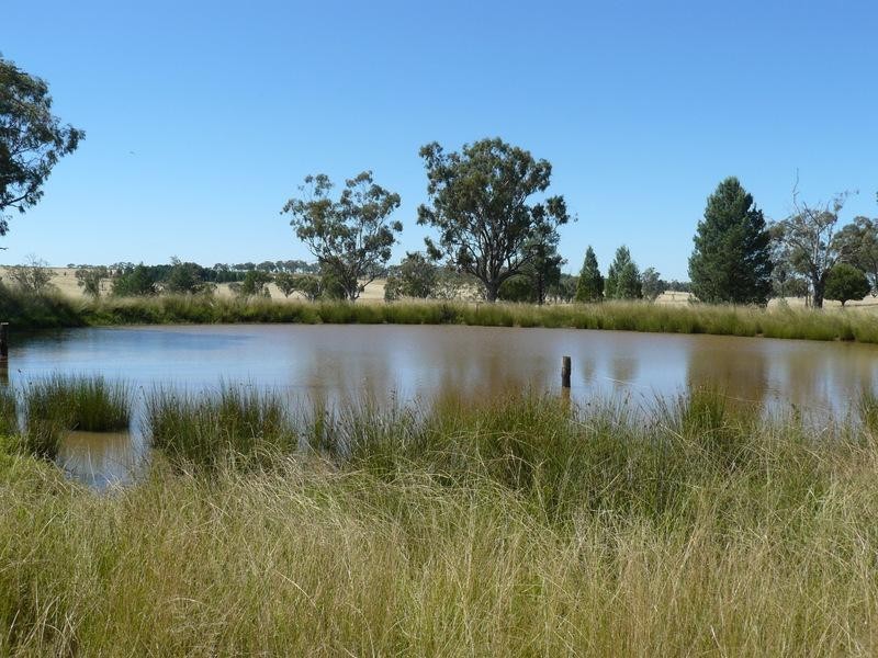 2429 Oregon Road, Warialda NSW 2402