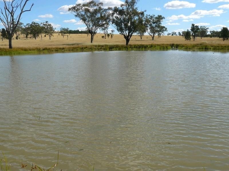 2429 Oregon Road, Warialda NSW 2402