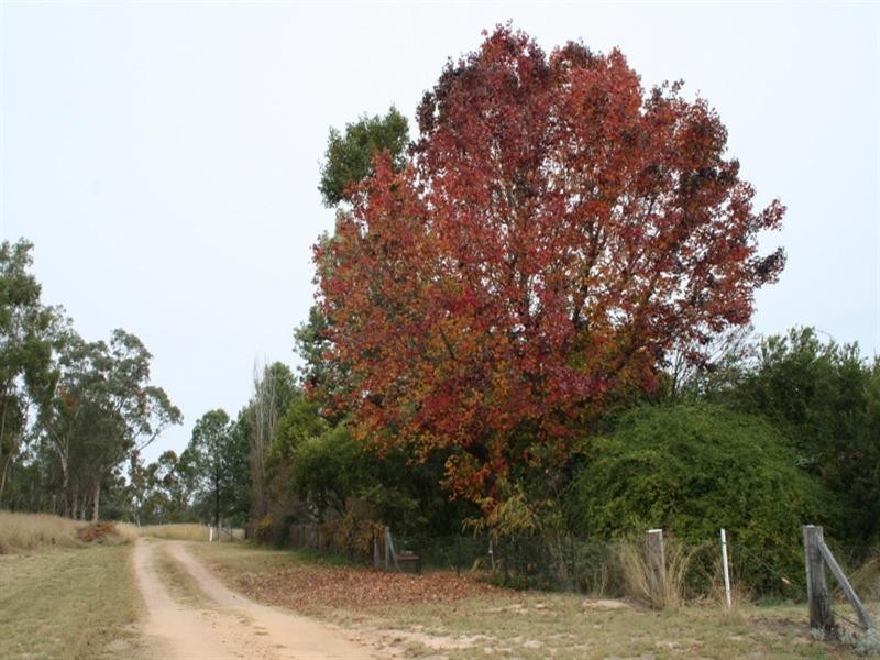 9 Queen Street, Warialda NSW 2402