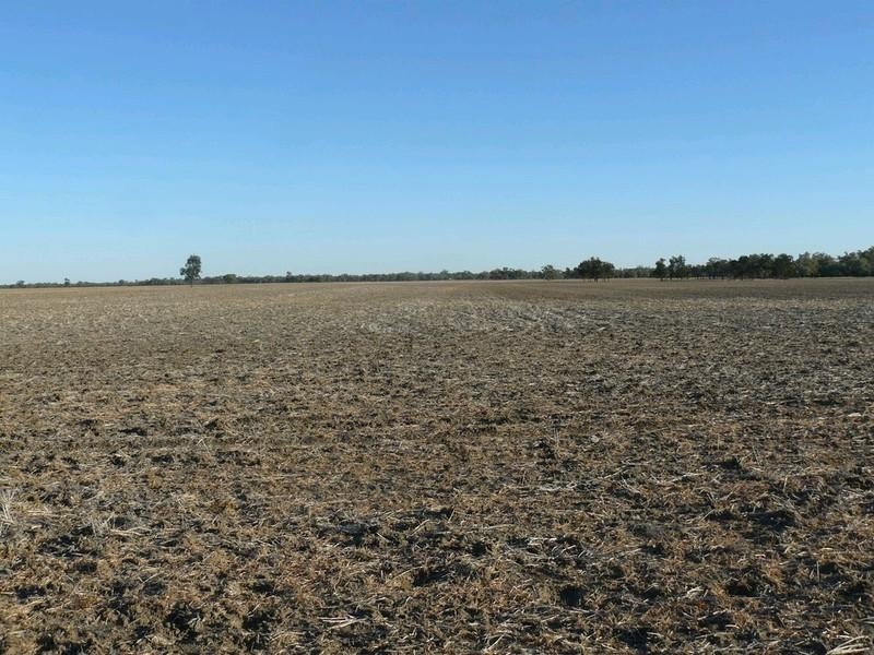 Collarenebri NSW 2833