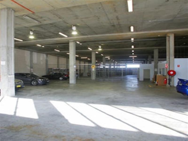 16 Mars Road, Lane Cove NSW 2066