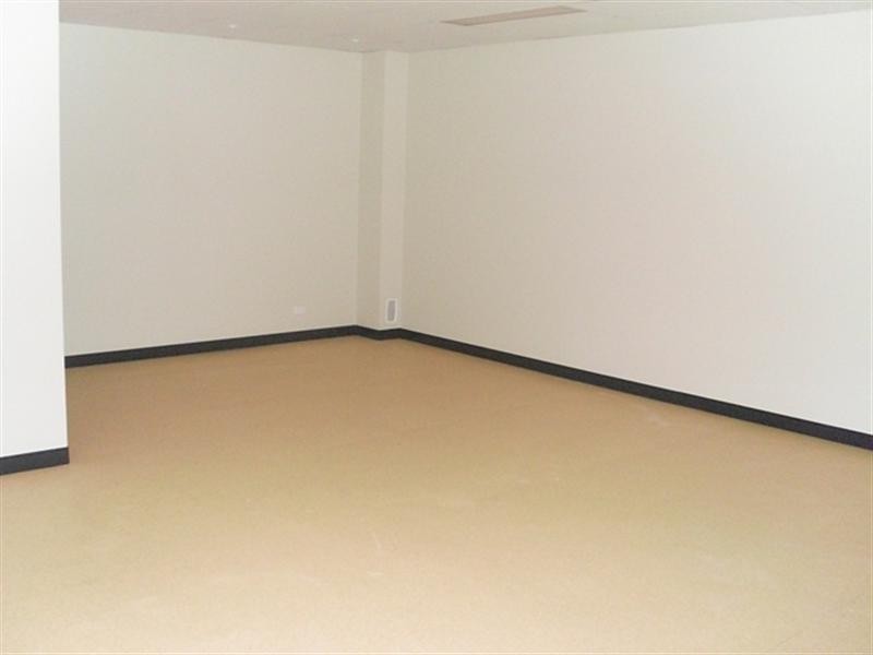 4 Chaplin Drive, Lane Cove NSW 2066