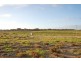 Lot 1354 Blanche Parade, Hindmarsh Island SA 5214