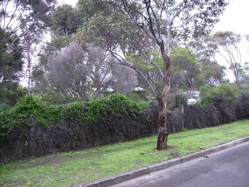 2 (Lot 89) Oxford Street, Port Elliot SA 5212