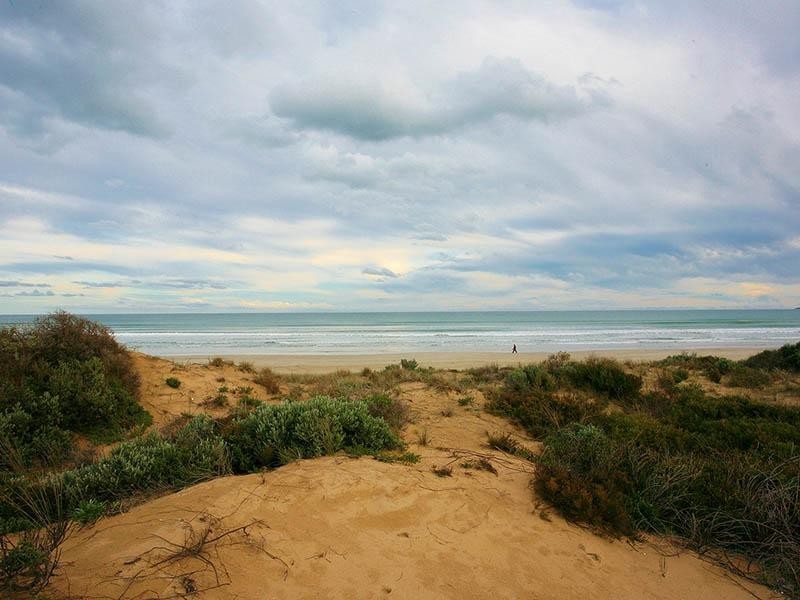 7 Newell Avenue, Middleton SA 5213