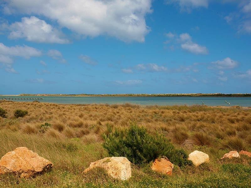 Lot 1 Mills Road, Hindmarsh Island SA 5214