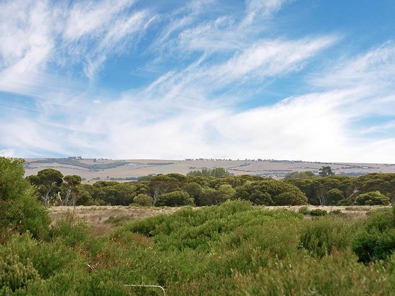 16 Newell Avenue, Middleton SA 5213