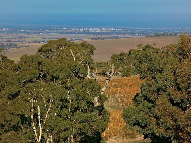 Lot 23 Trig Point Road, Mosquito Hill SA 5214