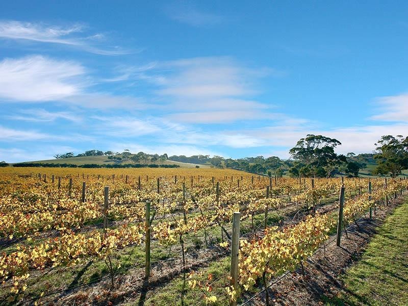 Lot 23 Trig Point Road, Mosquito Hill SA 5214