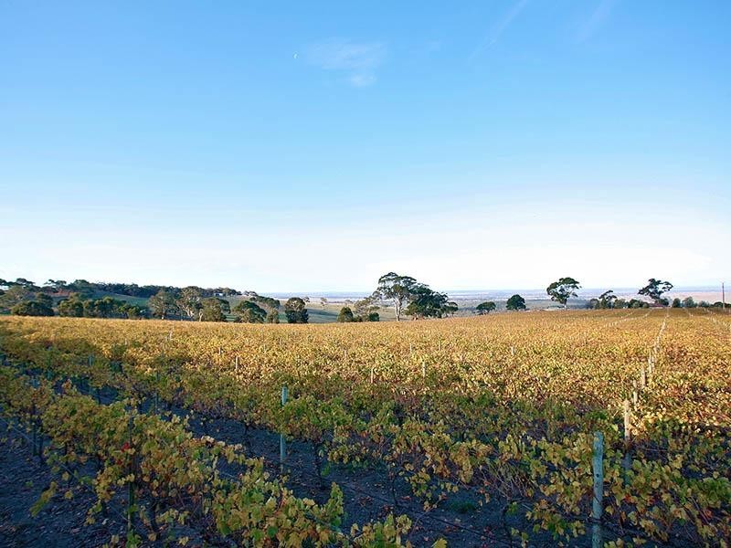 Lot 23 Trig Point Road, Mosquito Hill SA 5214