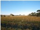 Lot 23 Trig Point Road, Mosquito Hill SA 5214