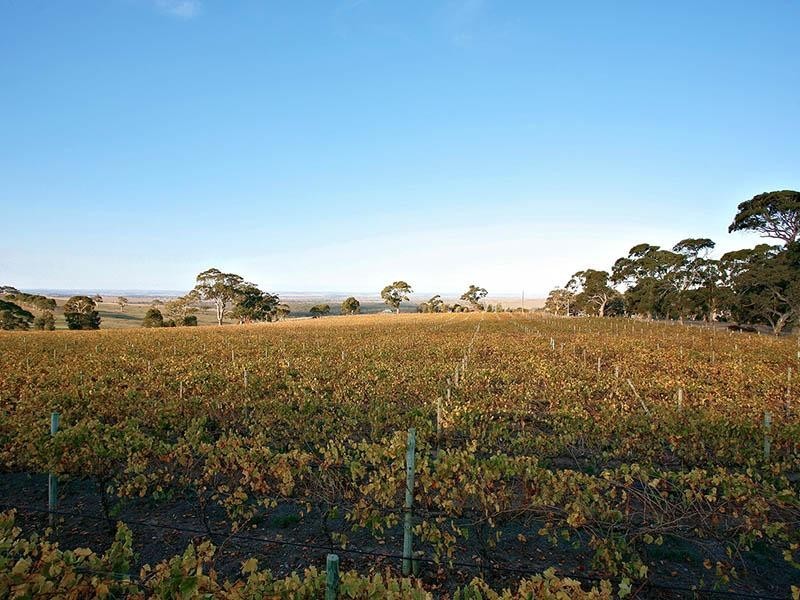 Lot 23 Trig Point Road, Mosquito Hill SA 5214