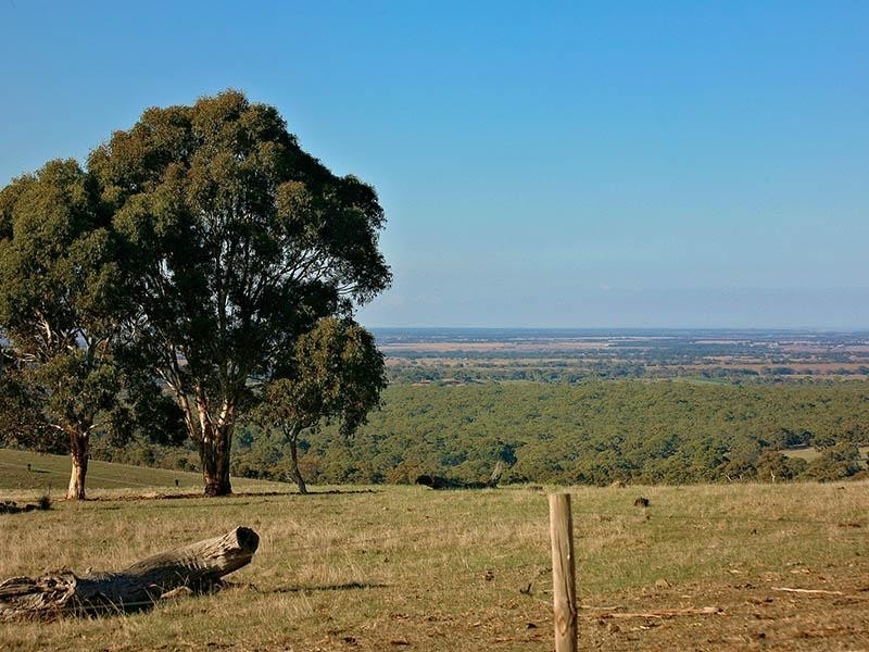 Lot 23 Trig Point Road, Mosquito Hill SA 5214