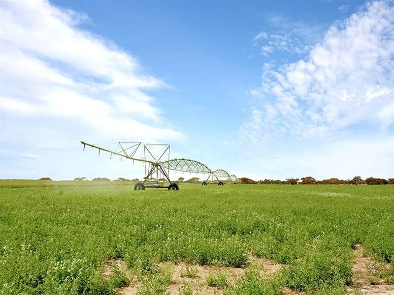 Lot 11 and 170 Stevens Road, Currency Creek SA 5214