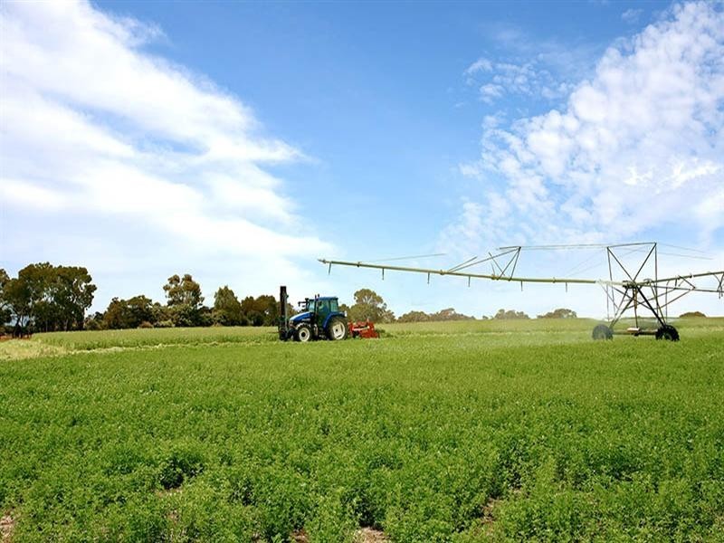 Lot 11 and 170 Stevens Road, Currency Creek SA 5214