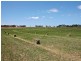 Lot 11 and 170 Stevens Road, Currency Creek SA 5214