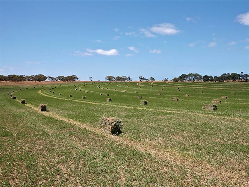 Lot 11 and 170 Stevens Road, Currency Creek SA 5214