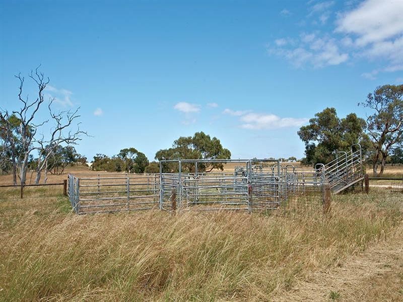 Lot 11 and 170 Stevens Road, Currency Creek SA 5214