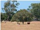 Lot 11 and 170 Stevens Road, Currency Creek SA 5214
