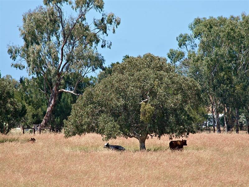Lot 11 Stevens Road, Currency Creek SA 5214