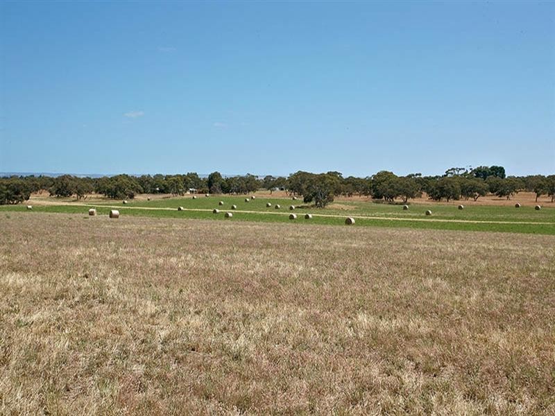 Lot 11 Stevens Road, Currency Creek SA 5214