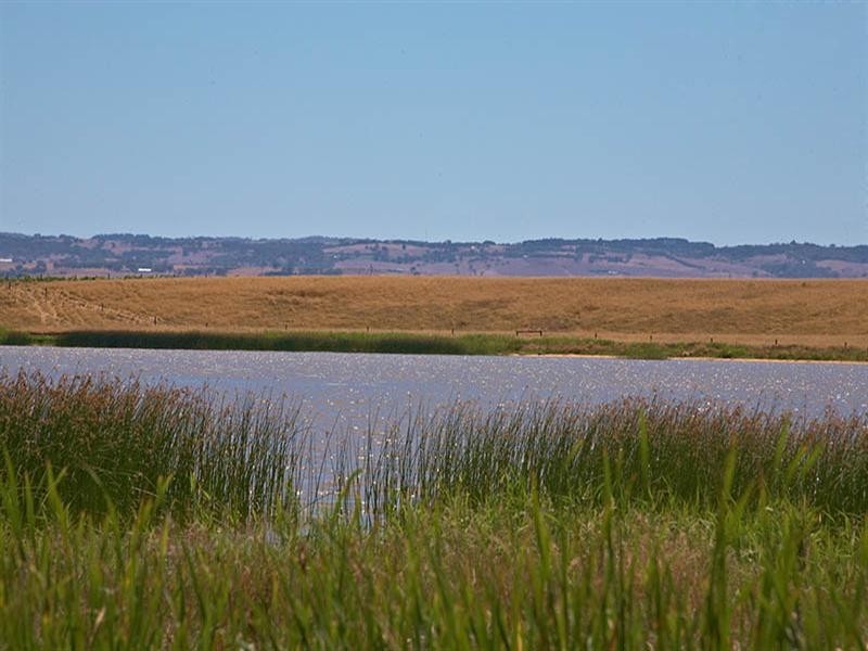 Lot 60 Finniss Clayton Road, Clayton SA 5256