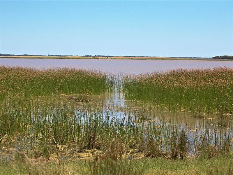 Lot 60 Finniss Clayton Road, Clayton SA 5256