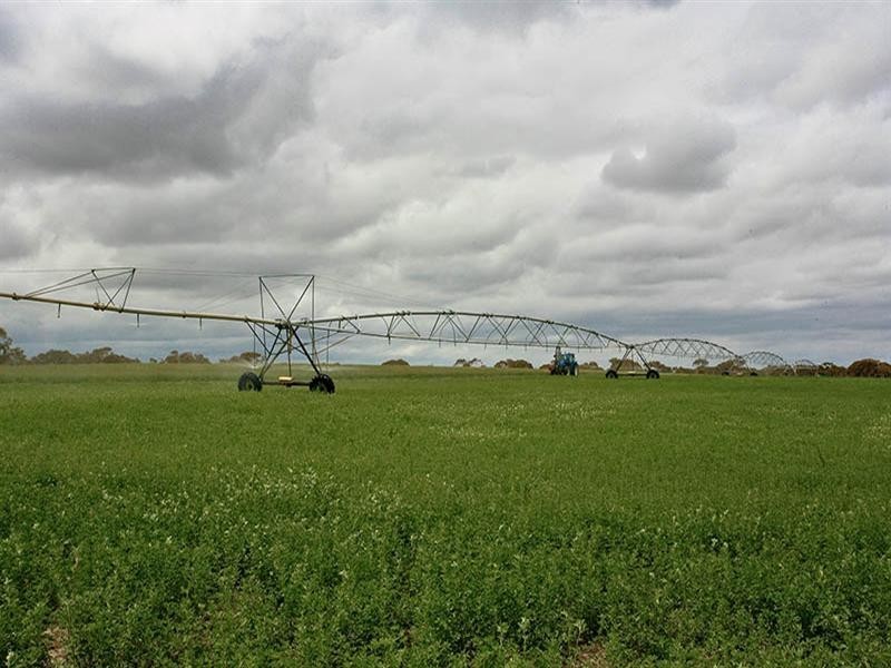 Lot 170 Stevens Road, Currency Creek SA 5214