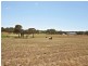 Lot 170 Stevens Road, Currency Creek SA 5214