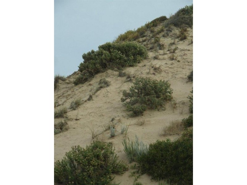 9 Ness Street, Goolwa Beach SA 5214