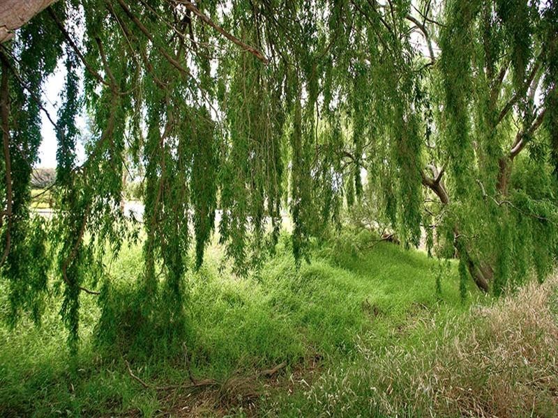 1/1 Surrey Avenue, Victor Harbor SA 5211