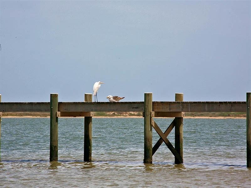 57 Goolwa Channel Drive, Hindmarsh Island SA 5214