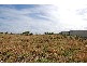 Allotments 61,93,94 Offshore Drive, Middleton SA 5213