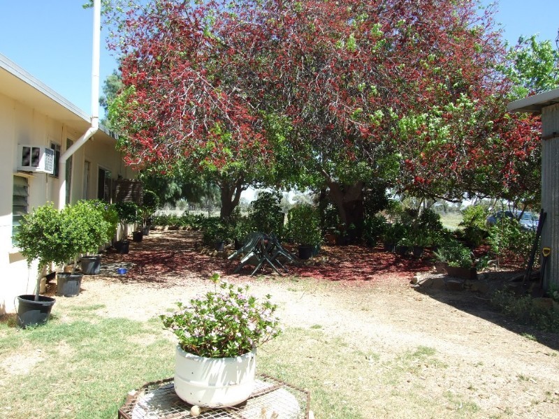 171 Ravensbourne Road, Blackall QLD 4472