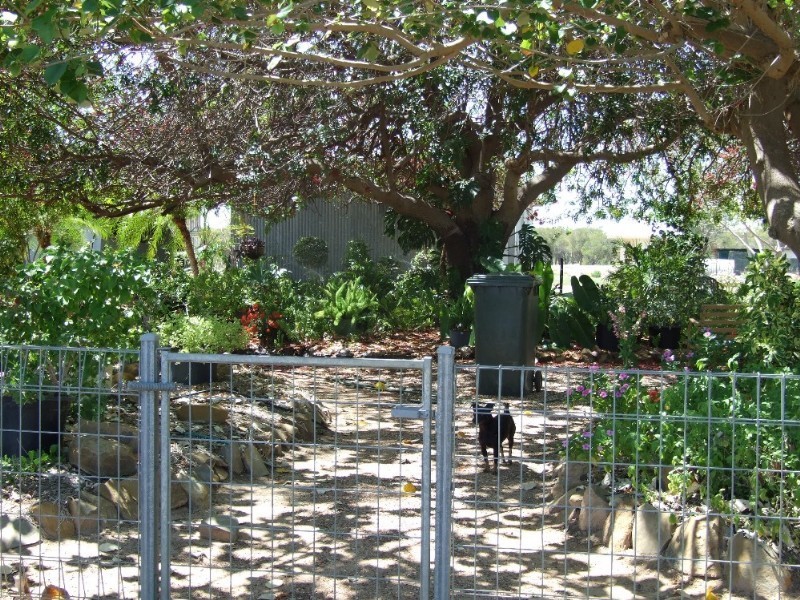 171 Ravensbourne Road, Blackall QLD 4472