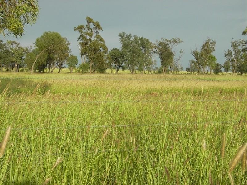 0 Capricorn Highway, Emerald QLD 4720