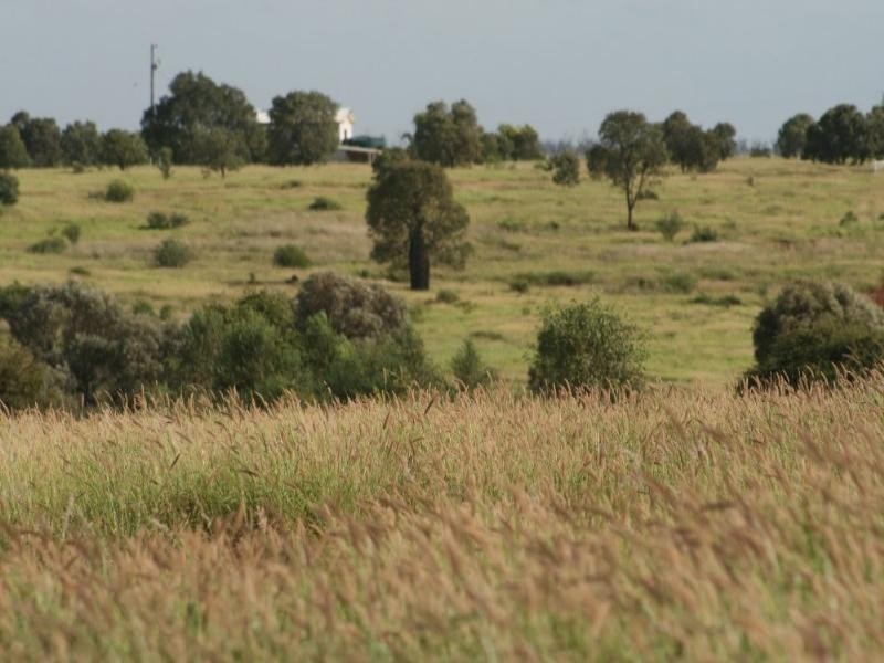 0 Capricorn Highway, Emerald QLD 4720