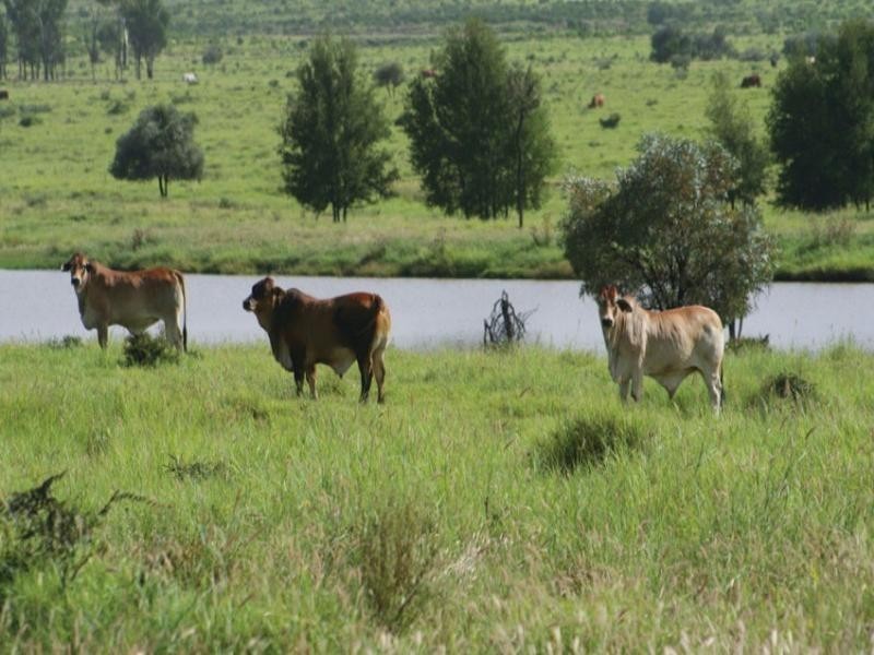 181 Hillview Road, Springsure QLD 4722