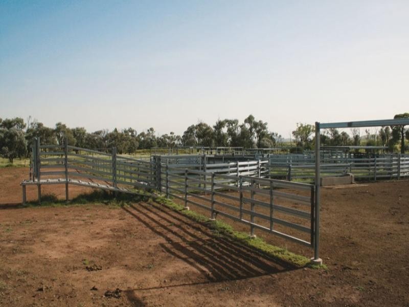 181 Hillview Road, Springsure QLD 4722