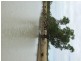 LAAP2446 Landsborough Highway, Blackall QLD 4472