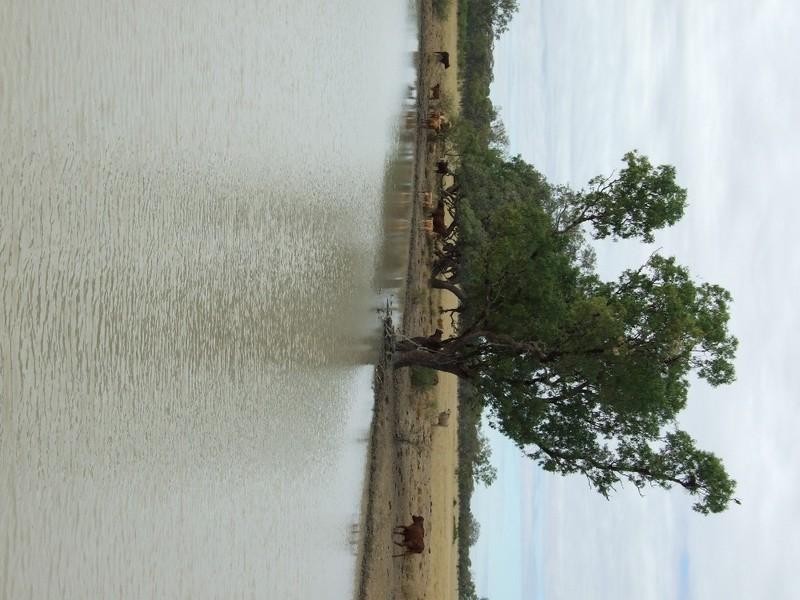 LAAP2446 Landsborough Highway, Blackall QLD 4472