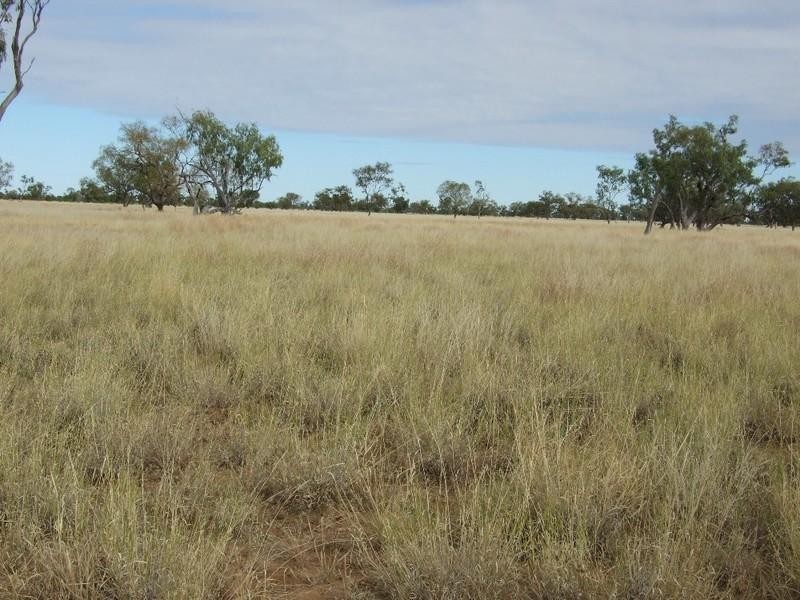 LAAP2446 Landsborough Highway, Blackall QLD 4472