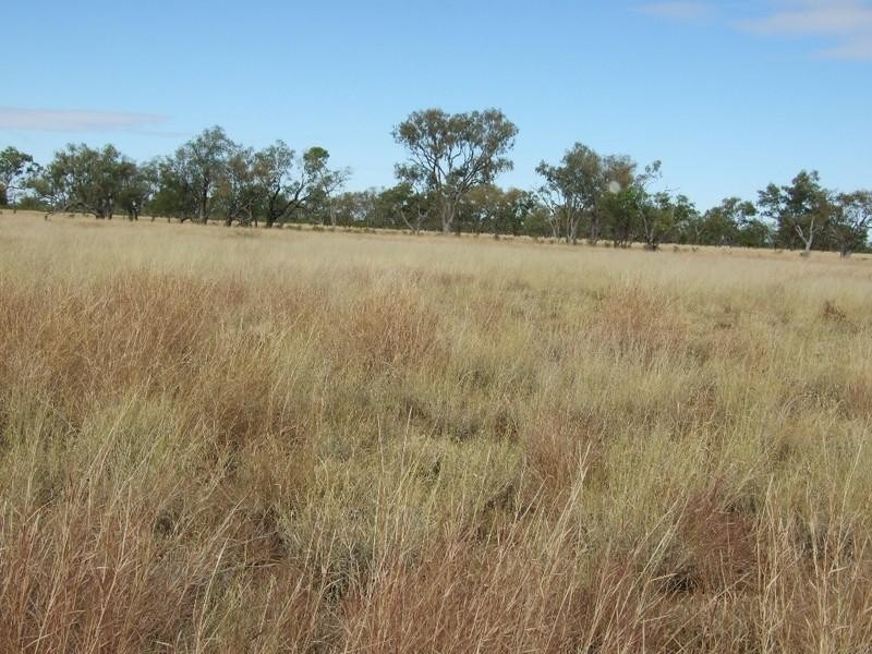 LAAP2446 Landsborough Highway, Blackall QLD 4472